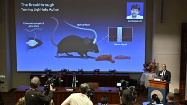 nobel medicina 2026