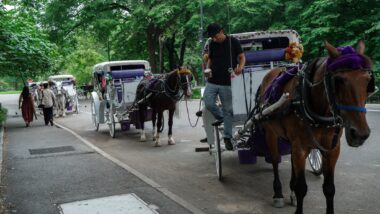 carruagem central park nova york