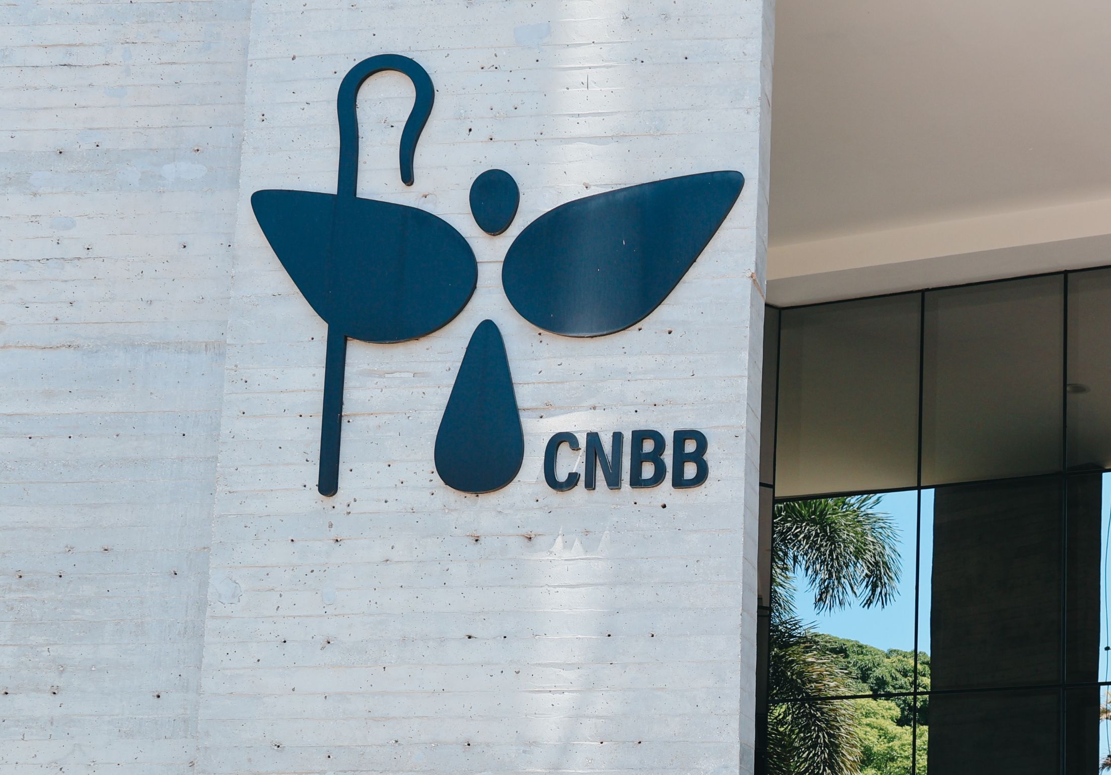 CNBB critica redução da maioridade penal em meio a debate no Senado