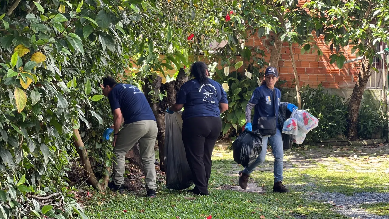 Três agentes recolhem materiais em um quintal durante fiscalização em Balneário Camboriú.