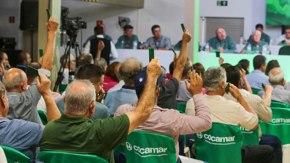 Distribuição de R$ 61 bilhões em “sobras”: uma vantagem única do modelo cooperativo