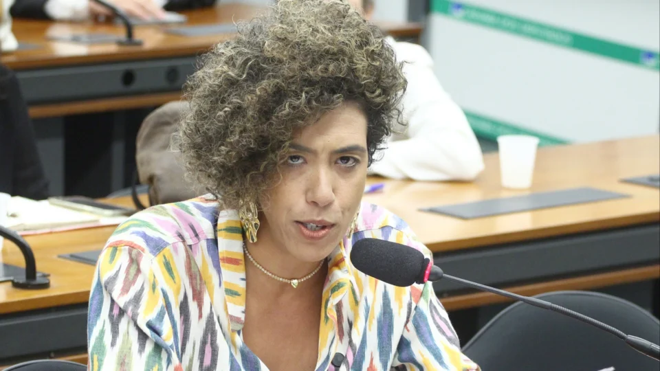 Talíria Petrone anunciou que demitiu assessor assim que soube do ocorrido.