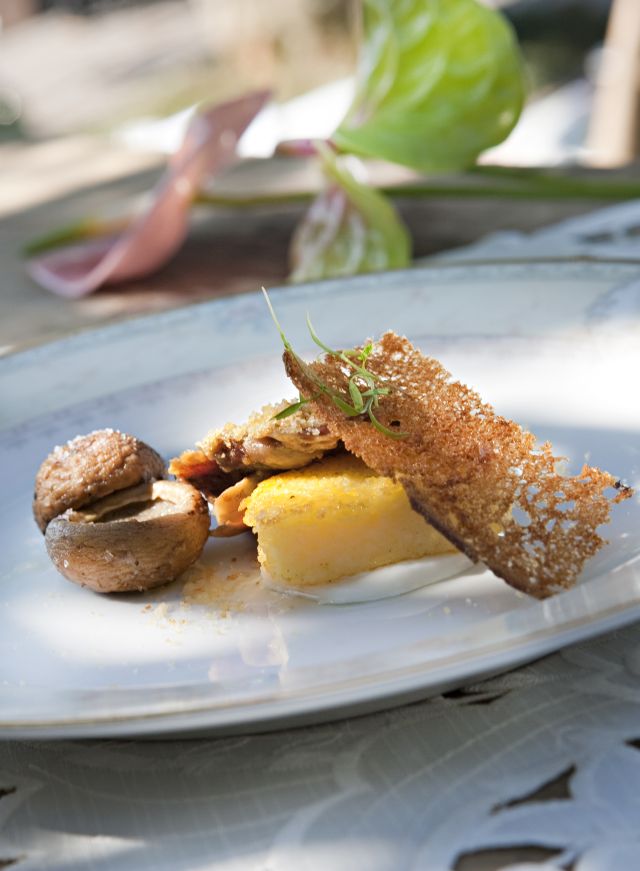 Paleta de porco em baixa com polenta ao torrontes e cogumelo portobello com vinsanto Paleta de porco em baixa com polenta ao torrontes e cogumelo portobello com vinsanto