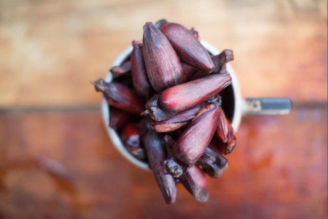 Foto: Brunno Covello / Agência de Notícias Gazeta do Povo