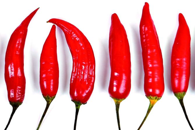 Foto: Letícia Akemi/Gazeta do Povo