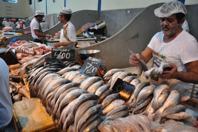 O Mercado do Peixe é um pedaço do Ver-o-Peso. Foto: Neldoson Neves/Divulgação O Mercado do Peixe é um pedaço do Ver-o-Peso. Foto: Neldoson Neves/Divulgação
