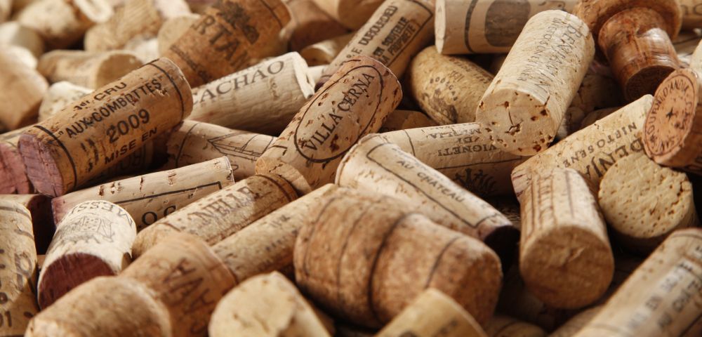 Foto: Alexandre Mazzo/Gazeta do Povo