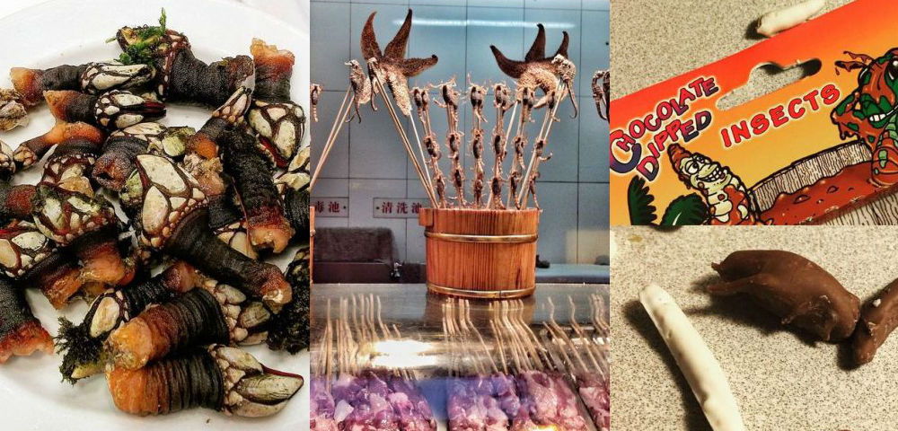 Comidas que você provavelmente nunca comeu. Foto: reprodução.