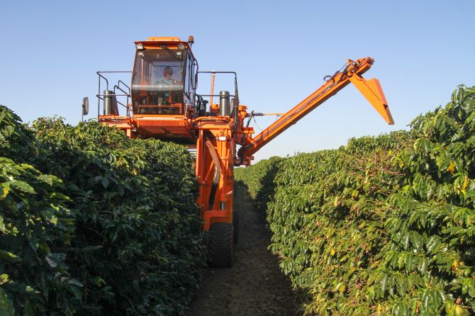 A fazenda Pilar, em Cornélio Procópio, investiu pesado para melhorar a qualidade do café e dobrar a produção até 2019. Foto: Rodrigo Félix Leal/Divulgação. A fazenda Pilar, em Cornélio Procópio, investiu pesado para melhorar a qualidade do café e dobrar a produção até 2019. Foto: Rodrigo Félix Leal/Divulgação.