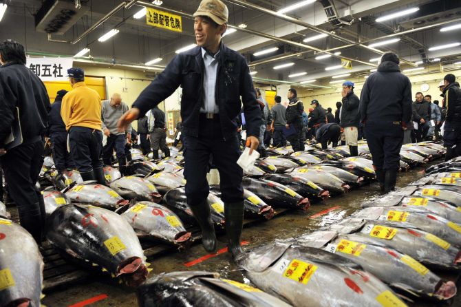 O famoso mercado do peixe Tsukiji, em Tokyo. Foto: Yoshikazu Tsuno/Afp.