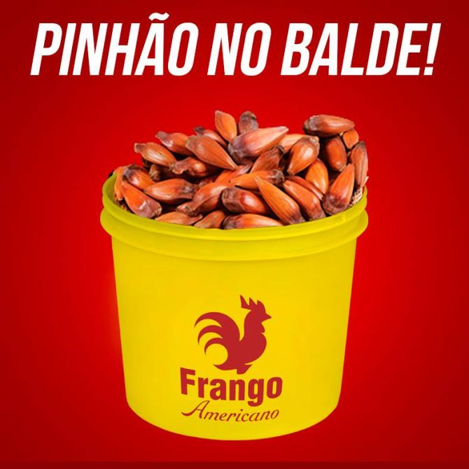 Pinhão no balde. Foto: reprodução/Facebook. Pinhão no balde. Foto: reprodução/Facebook.