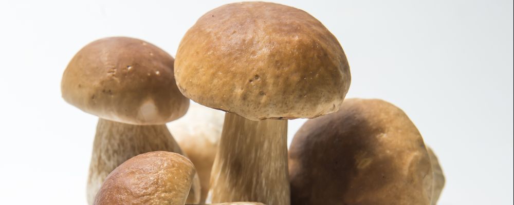 Foto: Letícia Akemi / Gazeta do Povo.