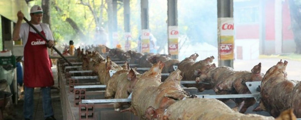 porco no rolete de toledo