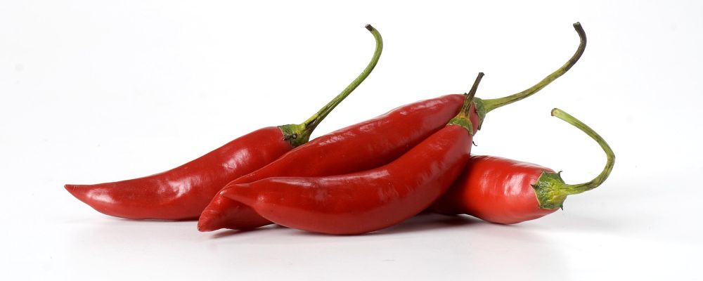 Pimenta dedo de moça. Foto: Alexandre Mazzo / Gazeta do Povo.