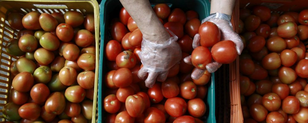Chefs se unem a projeto que faz comida com alimentos que iriam para o lixo Foto: Daniel Castellano/Gazeta do Povo