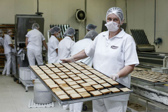 Fábrica em Campo Largo produz torradas que quebram menos Fábrica em Campo Largo produz torradas que quebram menos