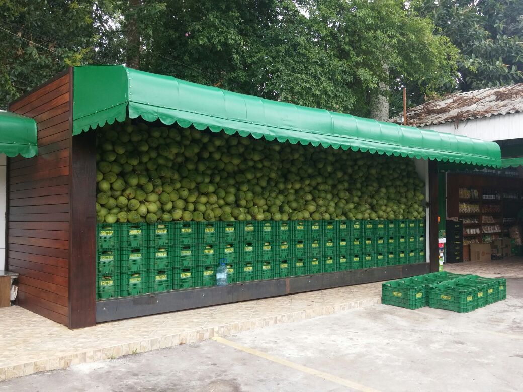 Confira locais para se refrescar com água de coco natural em Curitiba Confira locais para se refrescar com água de coco natural em Curitiba