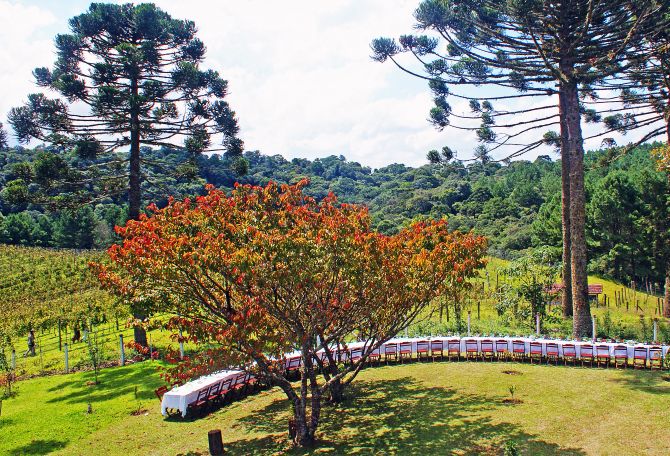 Cenário da etapa Paraná quando foi realizada na Vinícola Araucária. Foto: Divulgação Cenário da etapa Paraná quando foi realizada na Vinícola Araucária. Foto: Divulgação