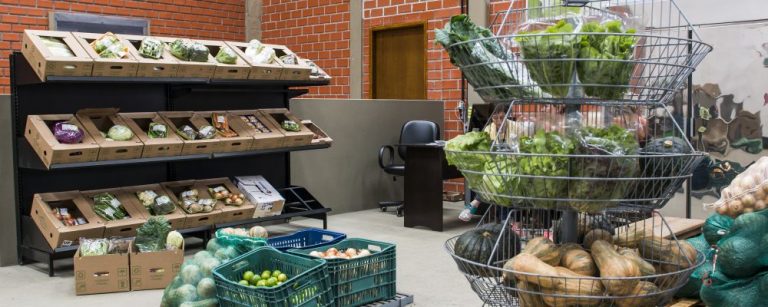 Fotos da banca Up Fruit , distribuidora de produtos orgânicos atacado e varejo e o proprietário James Francisco Paolin Mordaski. Ceasa vegetais fruta legume . Local: Mercado de Orgânicos CEASA / PR