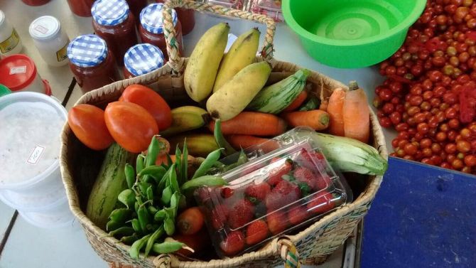 A Feira de Orgânicos já acontecia há sete anos no Campus Agrárias, mas na entrada do prédio da direção. Foto: Divulgação. A Feira de Orgânicos já acontecia há sete anos no Campus Agrárias, mas na entrada do prédio da direção. Foto: Divulgação.