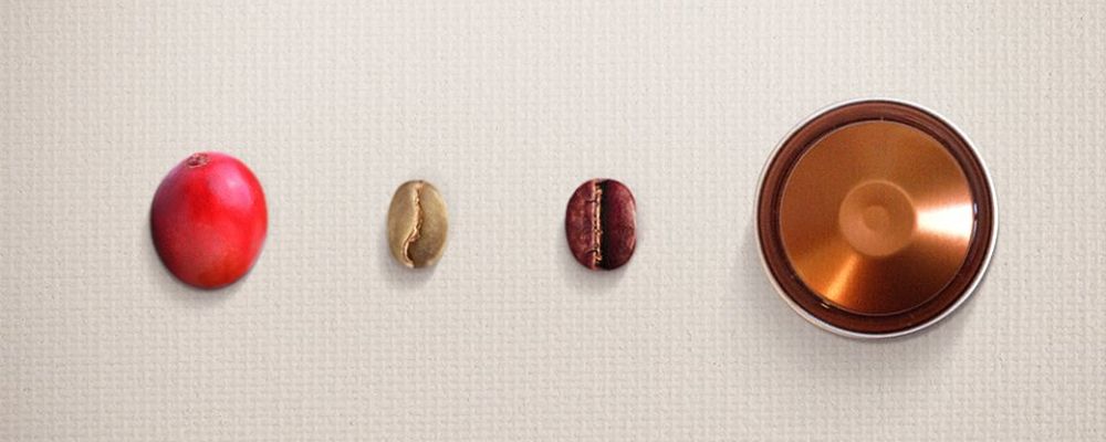 Do pé à cápsula: o percurso do café até chegar à xícara Do pé à cápsula: o percurso do café até chegar à xícara