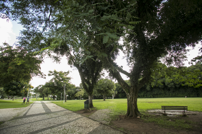 Parcão do MON. Foto: Marcelo Andrade/Gazeta do Povo Parcão do MON. Foto: Marcelo Andrade/Gazeta do Povo