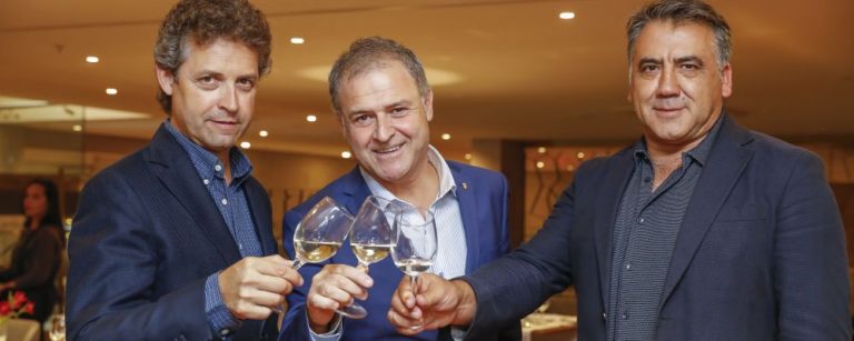 Vinícola espanhola que produz a cava Don Román lança 5 novos vinhos no Brasil