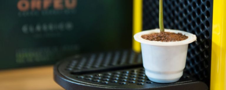 Empresa cria cápsula biodegradável de café que vira adubo em quatro meses