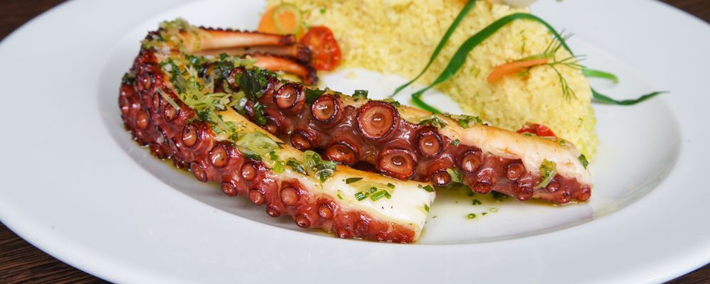 Polvo grelhado com couscous do nomade, em curitiba