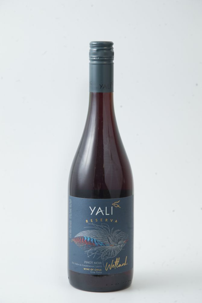 Pinot Noir brasileiro de R$ 58 desponta em degustação às cegas com vinhos do mundo todo Pinot Noir brasileiro de R$ 58 desponta em degustação às cegas com vinhos do mundo todo