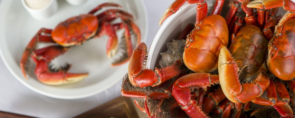 Foto: Marcelo Andrade/Gazeta do Povo