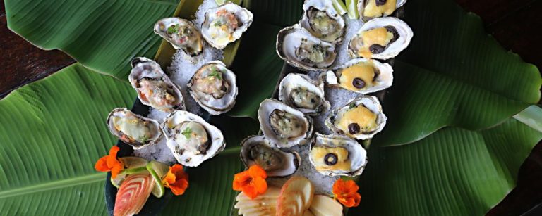 Restaurante Vivere Parvo do Marcelo Ferraz Monteiro - Cobertura fotográfica da última semana do ano de 2017 e a primeira semana de 2018 no litoral do Paraná - praias do litoral paranaense - veranistas - banhistas - turistas - praia - areia - roteiro da ostras na estrada do Cabaraquara em Guaratuba - Toca das ostras, Vivere parvo, restaurante mata atlântica, Sítio Sambaqui e Restaurante ostra viva