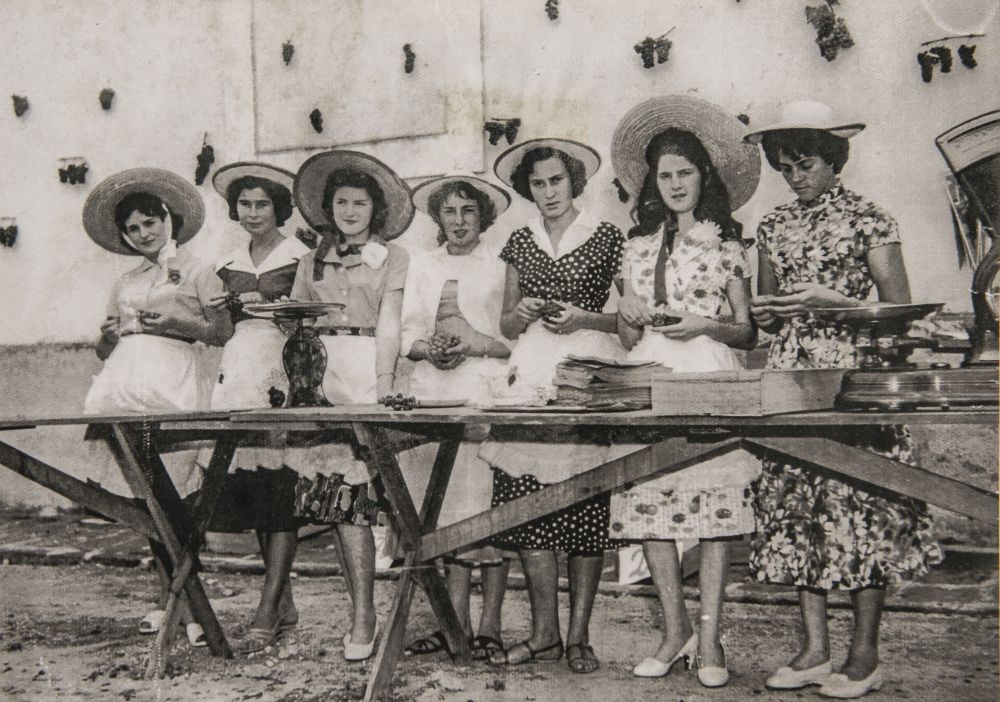 As filhas de imigrantes participando da primeira edição da Festa da Uva, quando ainda era uma quermesse no pátio da Paróquia. Foto: Letícia Akemi/Gazeta do Povo As filhas de imigrantes participando da primeira edição da Festa da Uva, quando ainda era uma quermesse no pátio da Paróquia. Foto: Letícia Akemi/Gazeta do Povo