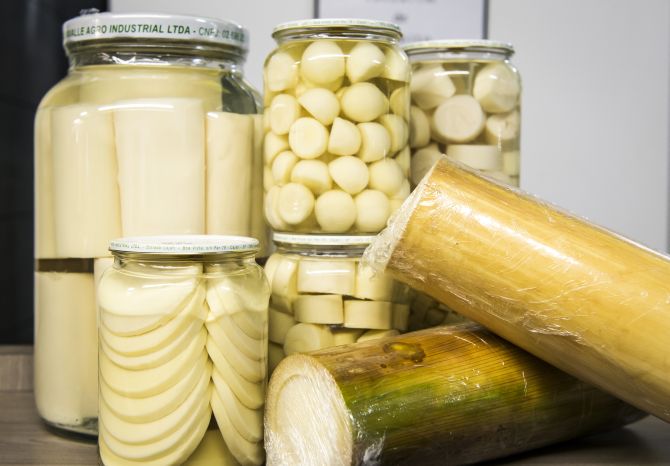 Foto: Letícia Akemi/Gazeta do Povo