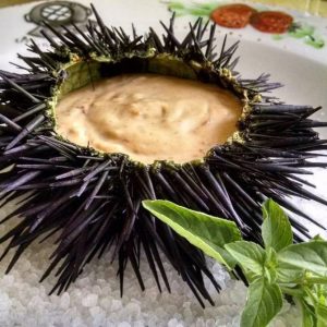 Já comeu ouriço do mar? Em Floripa, restaurantes têm pratos com a iguaria Patê de ouriço. Foto: Divulgação