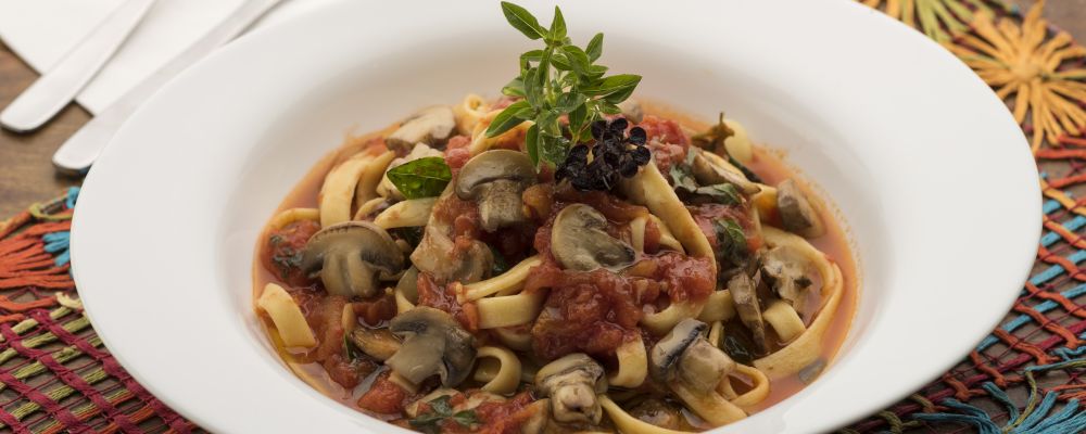 Festival Bom Gourmet