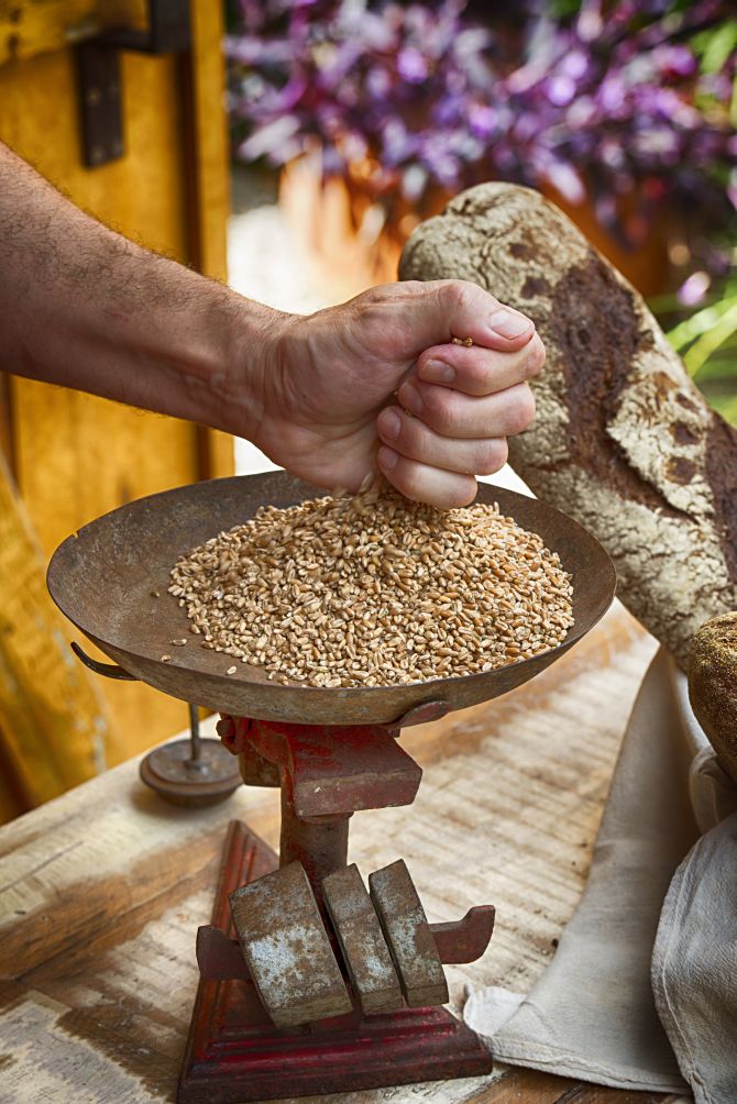 Entenda por que os pães de fermentação lenta viraram mania nacional Entenda por que os pães de fermentação lenta viraram mania nacional