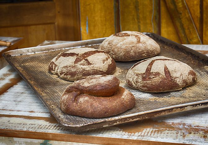 Entenda por que os pães de fermentação lenta viraram mania nacional Entenda por que os pães de fermentação lenta viraram mania nacional