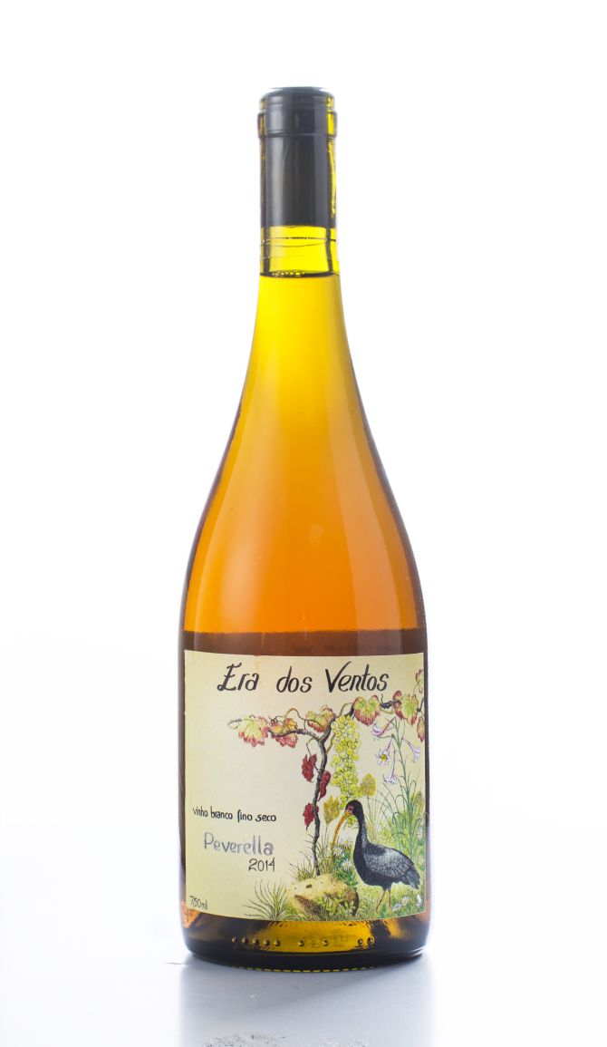 Vinhos brasileiros de pequenas vinícolas: veja 31 joias raras Vinhos brasileiros de pequenas vinícolas: veja 31 joias raras