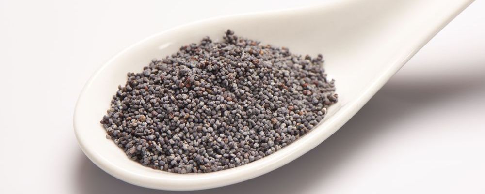 Semente de papoula, queridinha dos chefs e confeiteiros, some da culinária brasileira Pile of poppy seeds in white ceramic spoon on white background