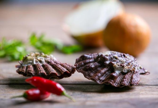 Peixes de inverno: confira quais são e dicas de preparo Peixes de inverno: confira quais são e dicas de preparo