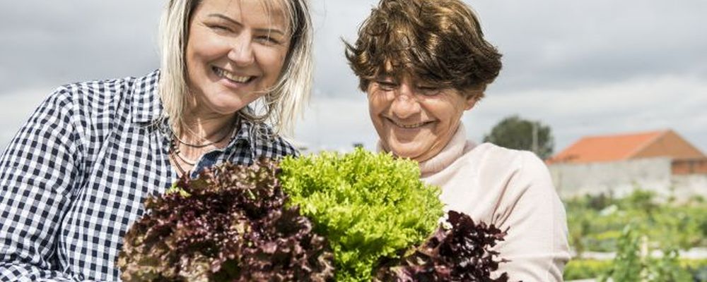 Foto: Letícia Akemi/ Gazeta do Povo