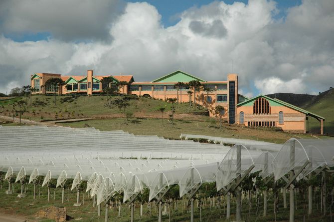 Vinícola Vila Francioni. Foto: Divulgação Vinícola Vila Francioni. Foto: Divulgação