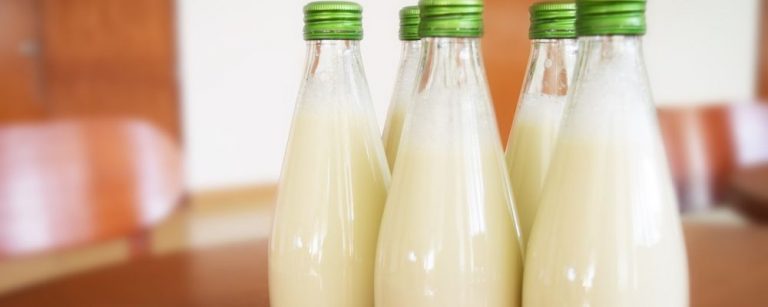 Como fazer 3 leites vegetais em casa: de inhame, castanha de caju e aveia