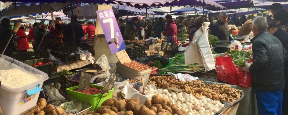 Foto: Valéria Vicenti