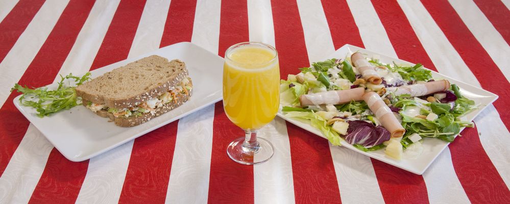 Foto: Alison Martins/Gazeta do Povo