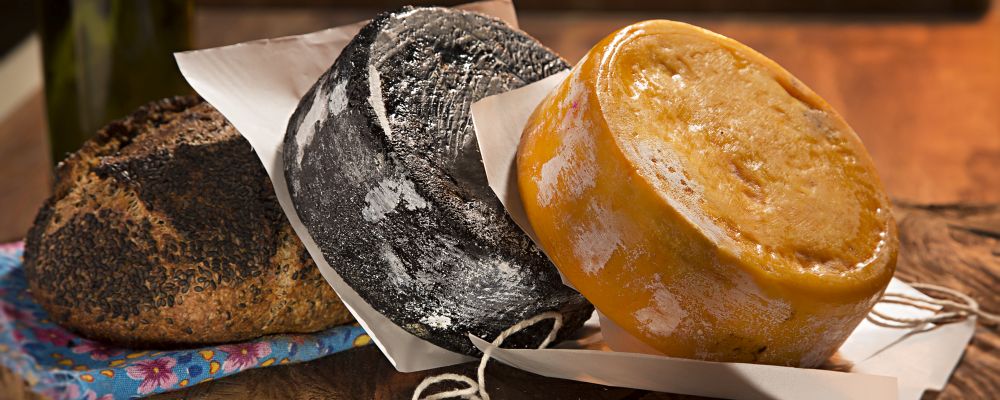 queijos artesanais do Brasil. Foto: Alexandre Mazzo/Gazeta do Povo.