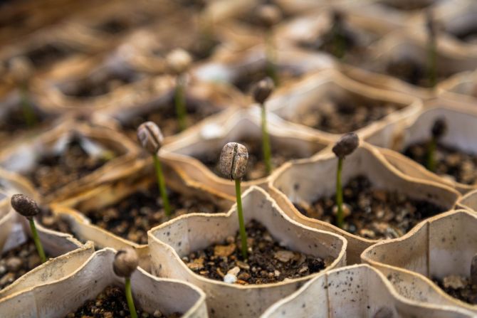 Foto: Christian Joudrey/Unsplash Foto: Christian Joudrey/Unsplash