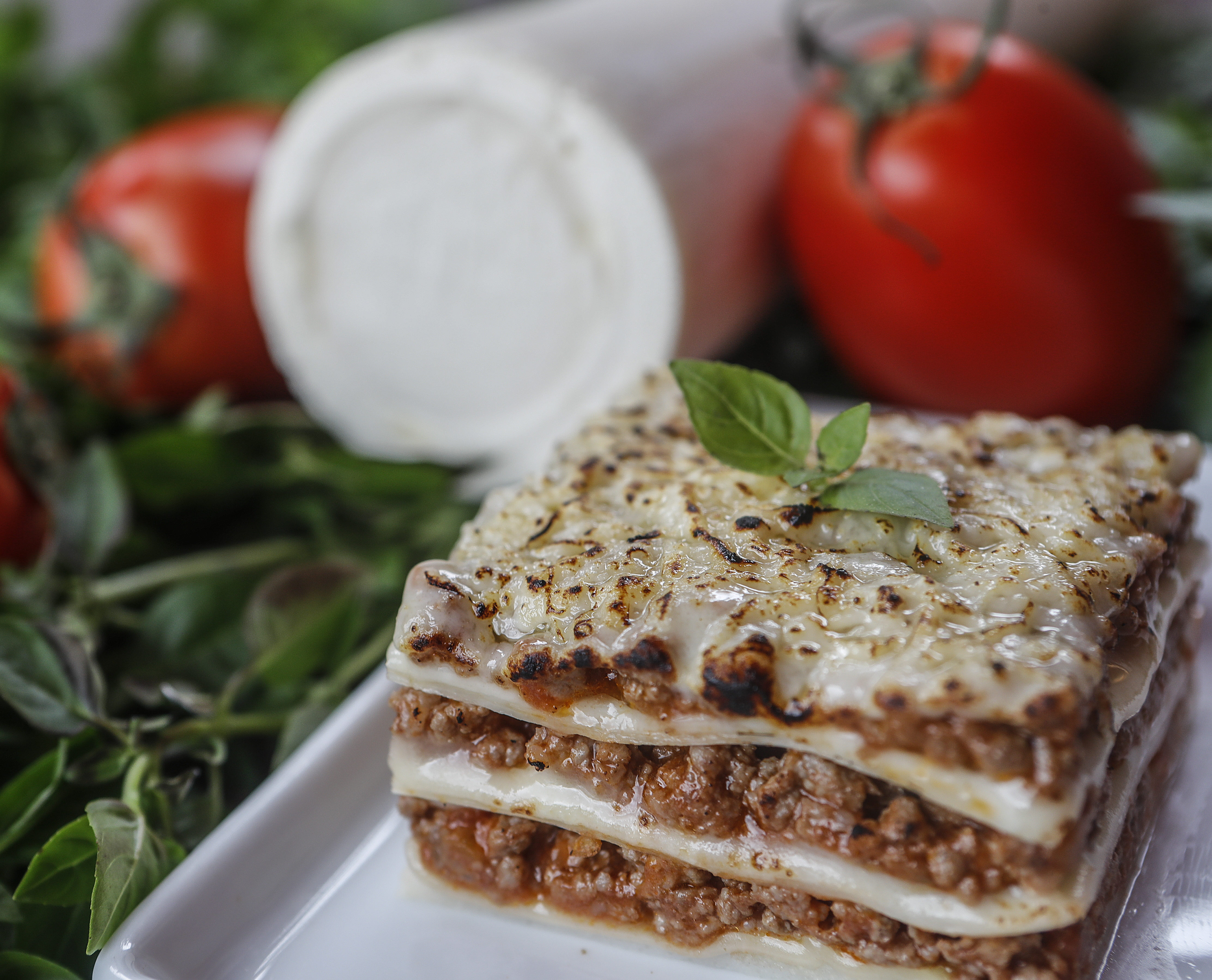 LASANHA DE PALMITO - FUNFIT