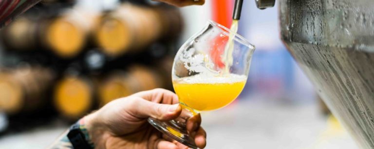 novos cervejeiros. foto: unsplash.